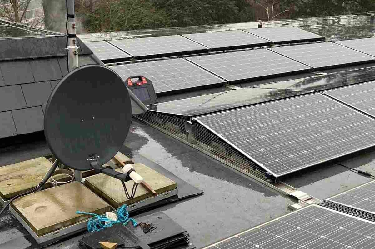 Solar panel bird removal