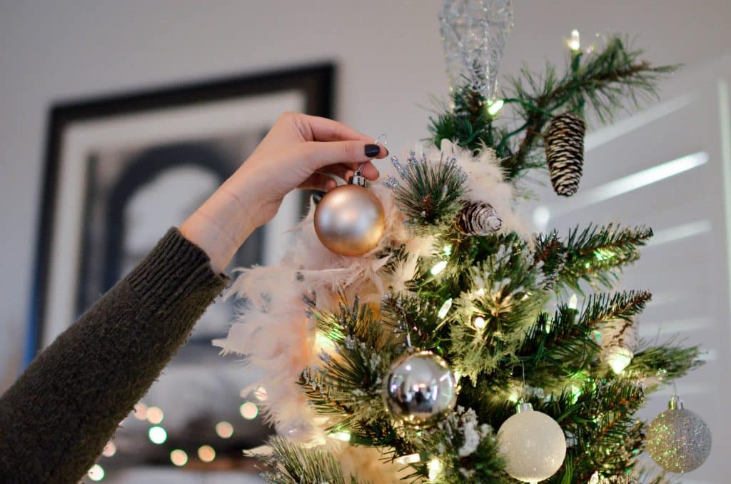 keep pests out of your holiday decorations