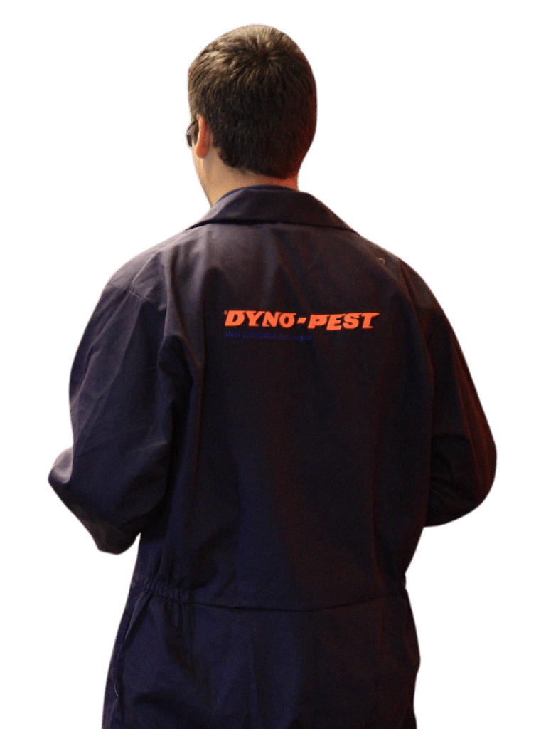 Dyno-Pest technician in London